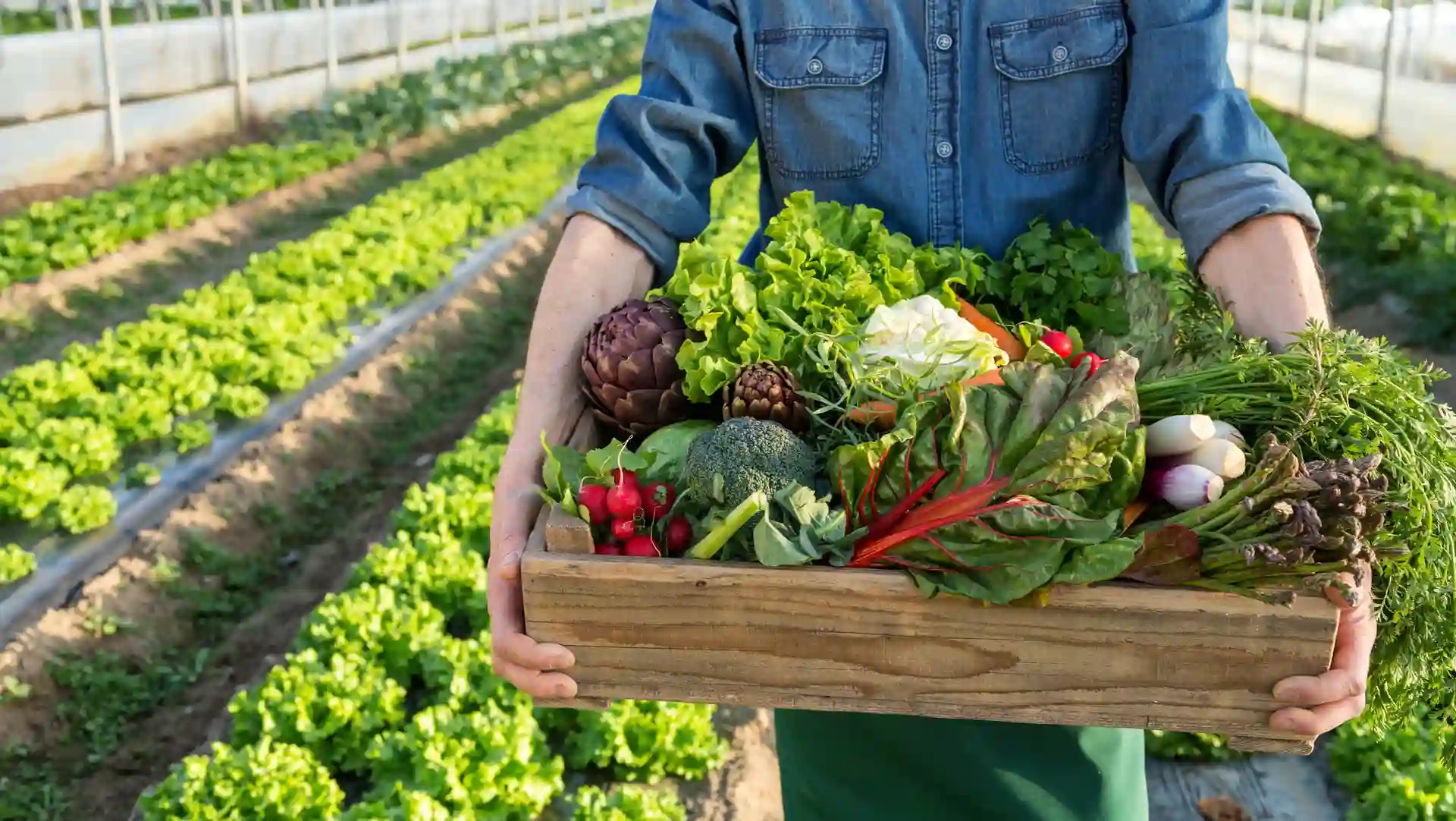 Sécurité Alimentaire et Résilience Climatique