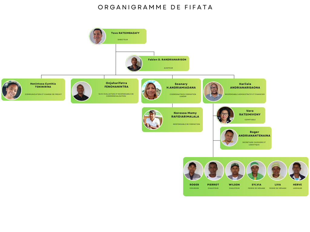 Organigramme structurel de FIFATA